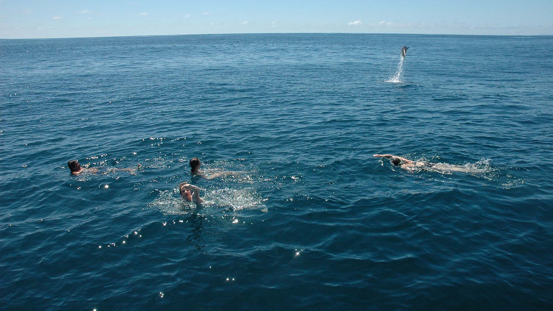 Tourists swimming in the Galápagos Islands with a dolphin jumping in the background, Ecuador – a bucket list holiday experience.