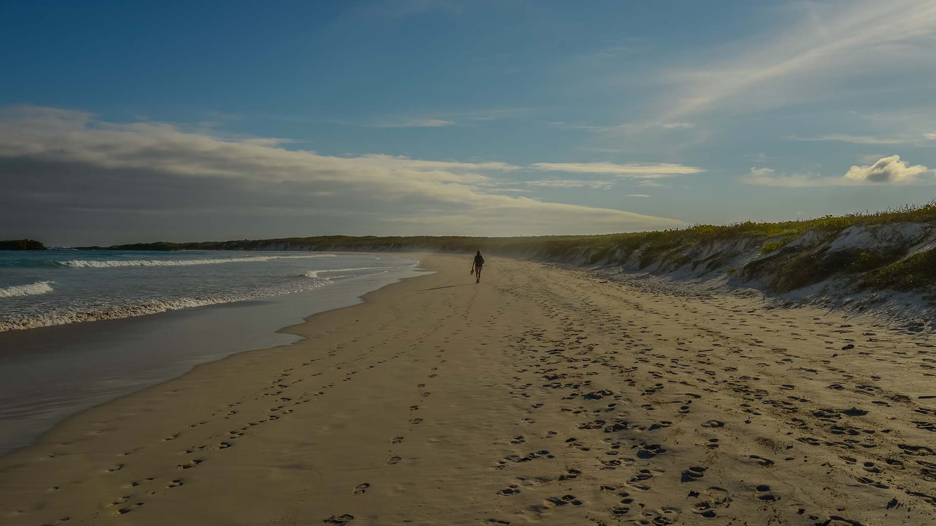 Traveler walking along an empty sandy beach at sunset in the Galápagos Islands, Ecuador.