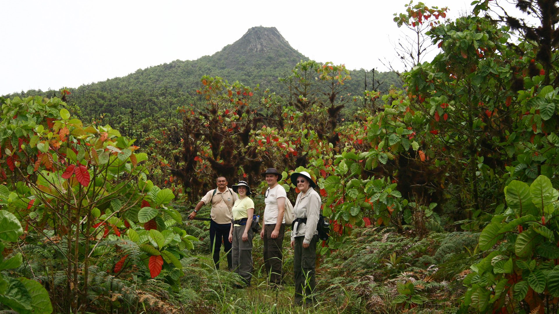 Travelers hiking through lush vegetation with a volcanic peak in the background in Galápagos, Ecuador – eco-friendly holiday experience.