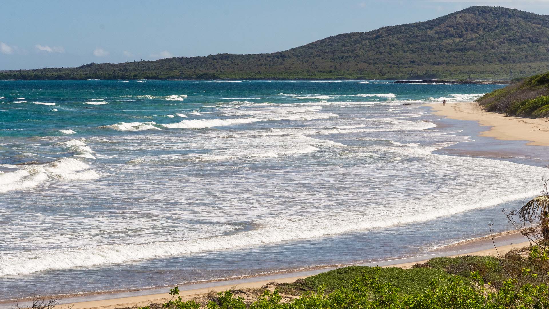 Waves crashing on a pristine sandy beach in the Galápagos Islands, Ecuador, with lush hills in the background and turquoise waters.