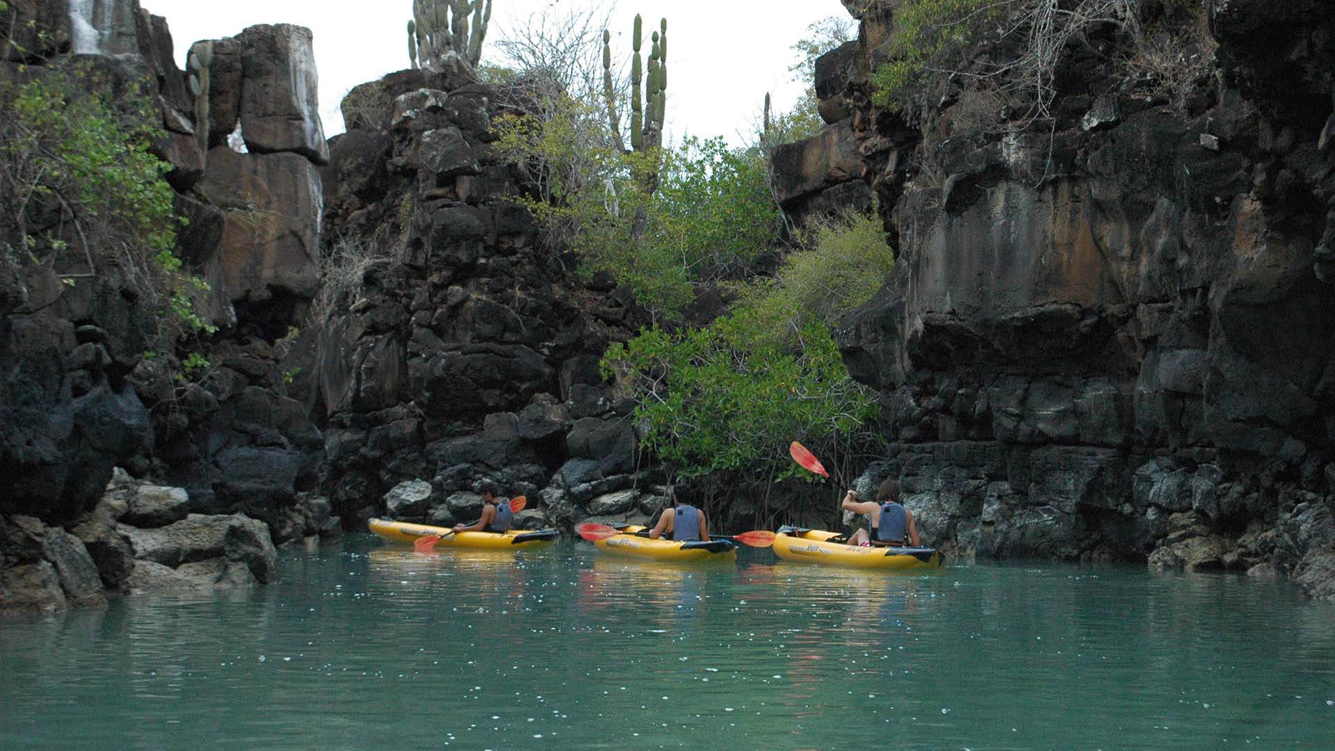 Travelers kayaking between volcanic cliffs and cacti in Galápagos Islands, Ecuador – eco-holidays and adventure tourism.